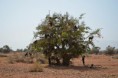 /album/nature-/dsc-0496-jpg/